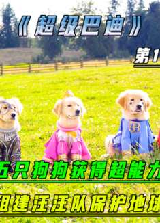 五只狗狗意外获得外星神环，拥有了五种不同的超能力《第1集》