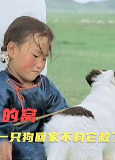 8岁蒙古女孩在捡回一只流浪狗，带回家当朋友，不料差点闯出大祸