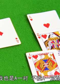 第54集｜玉面飞龙对战千王之徒，结果不仅输掉五亿还被喷毒药！