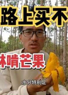 骑行广东湛江又累又渴，钻树林子里偷偷啃个芒果，晚上住49元旅馆