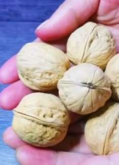 夏季核桃与鸡蛋才是绝配,每周煮两三次,很多人不知道它的作用