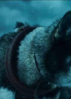 真实改编，一只二哈连夜奔袭420公里，救下百名孩童《多哥》