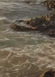 美景合集：毛伊岛的热带海滩