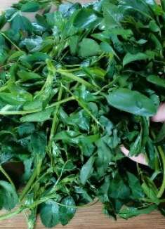 吃苜蓿的季节来了，老爸做苜蓿谷垒，满屋苜蓿香味