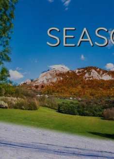 超治愈延时摄影，记录「四季的时间」