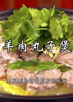 羊肉丸子煲，这两天有点冷，咱们来个热热乎乎的羊肉丸子吃