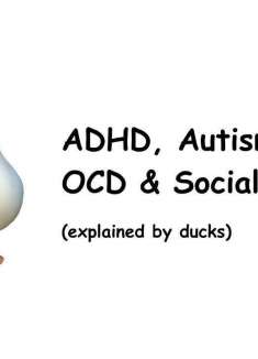 我悟了！听鸭子解释 ADHD 等精神症状