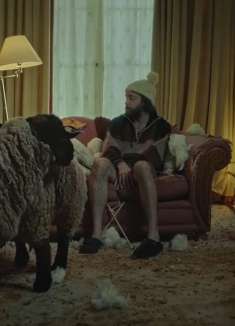 涨姿势了，绵羊的毛可以「阻挡」新冠传播