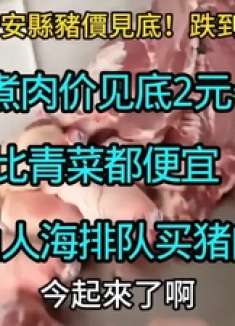 河北猪肉疯了！2块钱一斤比青菜还贱，买肉的人排到街尾！