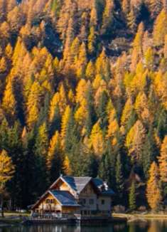 阿尔卑斯山：坠入爱情的感觉