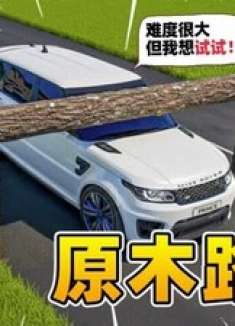 模拟器:越野车vs原木路障,司机一脚油门当场散架!路人惊呆了!