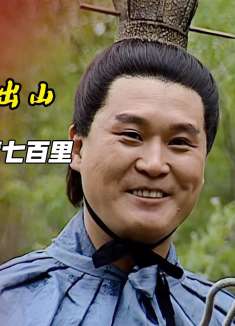 东吴第四代大都督，陆逊出山，颇有当年周郎之姿