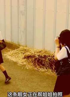 女孩被钢筋刺死，祭日当天又回到了家，惊悚片合集