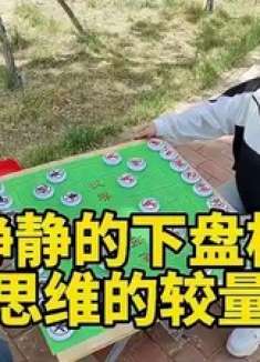 安安静静下盘棋，不让狗头军师说话，思维的较量！