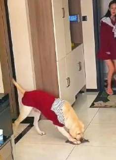 30秒画风突变,别相信眼前看到的一幕