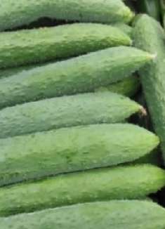 买黄瓜时，看到这种转头就走，再便宜都不要，立马叮嘱家里人