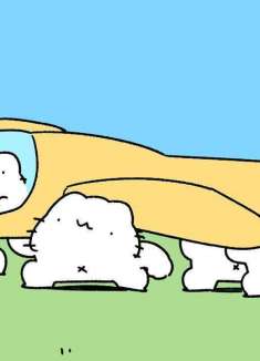 「猫动力」飞机的坠毁过程