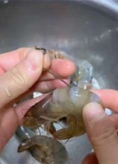 虾不会做？多亏网友提醒，原来油焖大虾这么简单