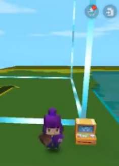 仙说：表姐耍赖把我建的大帆船玩坏了，还不给我买大黄蜂