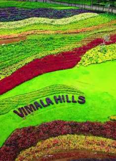 我们的绝美世界，一帧都不容错过！