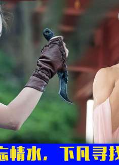 玉女拒喝忘情水，下凡寻找百世爱人01