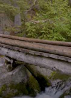 森林河放松：让人心旷神怡的视频