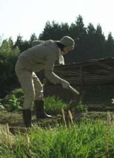 35万人打9分下饭神作!女孩钻进深山老林,做的食物是人间极品!