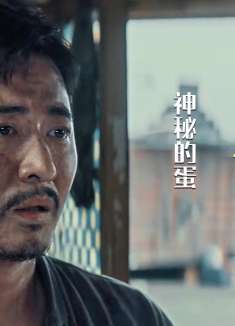 男子意外捡到宠物蛋，晚上竟跑出个这样的怪物