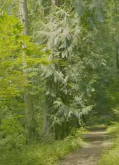 美丽华盛顿州：让人心旷神怡的美景