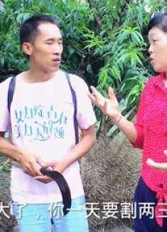 大娃把自家的兔子买了，害怕割兔草，魏二姐捡了趴活！