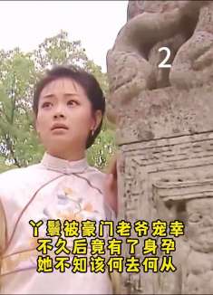 丫鬟被豪门老爷宠幸，不久后竟怀了孩子，她不知该何去何从