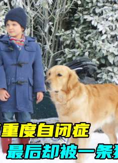 狗狗竟会治病？男孩患有重度自闭症，最后却被一条狗治好了