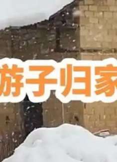 他乡游子归家啦，乡村藏着好风光