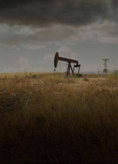 荒野废土风，锡兰新作「枯草」预告