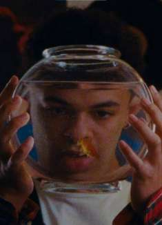 Lady Gaga 狂粉演绎柏拉图式「粉丝行为」