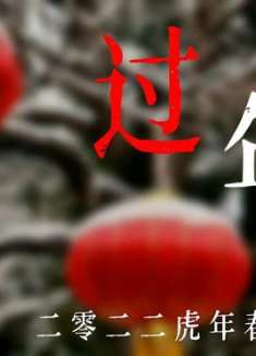 二零二二虎年春节记录，过年，除夕篇