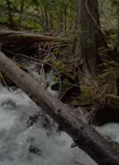 瀑布景观：让人心旷神怡的美景