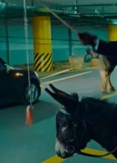 油价贵出天际？不如乘坐「马拉车」