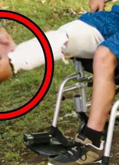 骇死我力！我真没功夫陪你们闹了