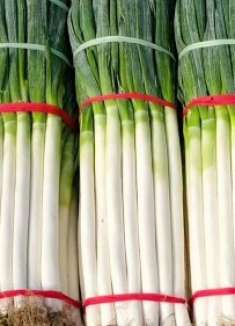 原来保存大葱这么简单，不放冰箱不埋土，一冬天新鲜不腐烂！