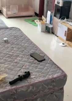 好雷人哦！铲屎官也是颇为担心，猫咪们在家多日会怎么样呢？