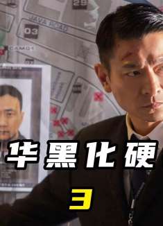 胡军演悍匪搅翻香港，刘德华黑化硬碰硬③