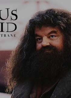 致敬！「鲁伯·海格」催泪混剪：你不只是敲开了哈利的门