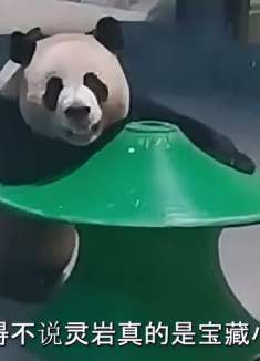 灵岩又开始发挥卖惨技能了，浑身裹满泥巴当众吃树枝卖惨