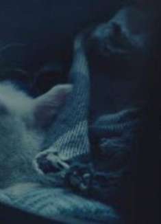 第 94 届奥斯卡金像奖：「羊崽」混剪