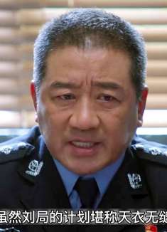 公安局长故意栽赃陷害黑恶势力，结果黑老大居然上演计中计