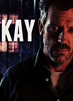 高分美剧「豪斯医生」：迷失在痛苦和折磨中