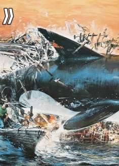 虎鲸疯狂袭击人类，为妻儿报仇，真实故事改编《杀人鲸》