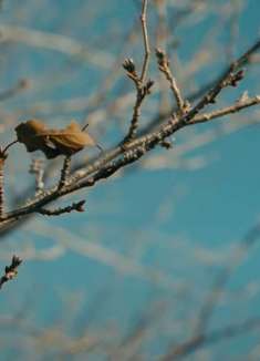 平凡的一天，不平凡的光影变幻