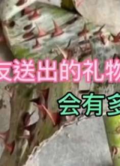 网友送的礼物就是这么靠谱 ！
